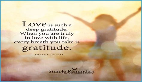 A Journey Of Love And Gratitude